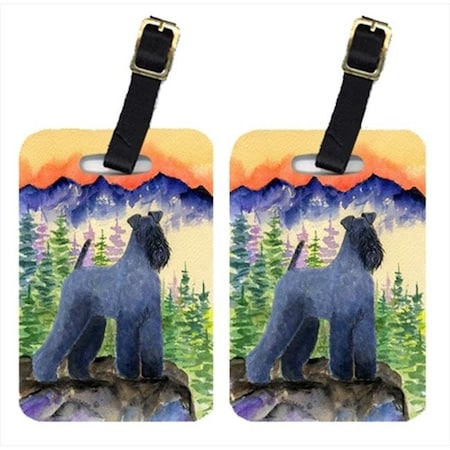 Carolines Treasures Carolines Treasures SS8223BT Kerry Blue Terrier Luggage Tags; Pack - 2 SS8223BT